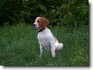 mal�-lovit odhodl�na