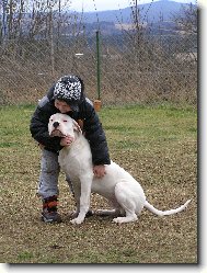 dit� a pes(Kry�tof+Diablo)