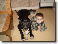 KAMAR�DI
