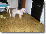 A jdeme ukl�zet!