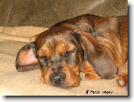 Zase spink�m