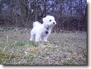 Mont�k