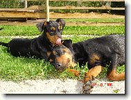 Odpoledn� siesta