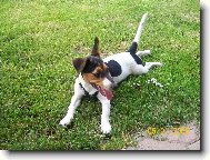 odpo�inek