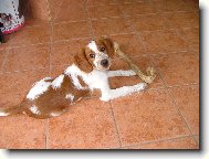 Bony Arthur Bo�ek