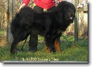 Quantus Str�ce z Tibetu
