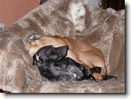 spink�me
