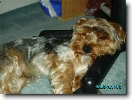 Max�k