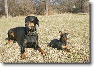 Mal�-velk�