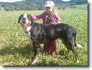 Danten a Eli�ka