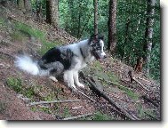 border�k v Beskydech
