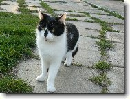 Jarn� proch�zka