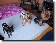 Mil��ci