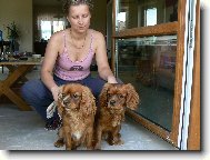 Abby, j�, Chicco