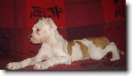 Odpo�inek
