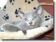 Leont�nka