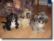 Pup��ci