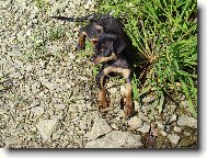 na ryb�ch