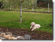 Max na zahrad�