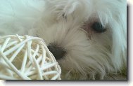Na�e 6,5mes��n� Jessule :)