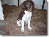 TAZI 9 T�DN�