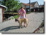 Andr�