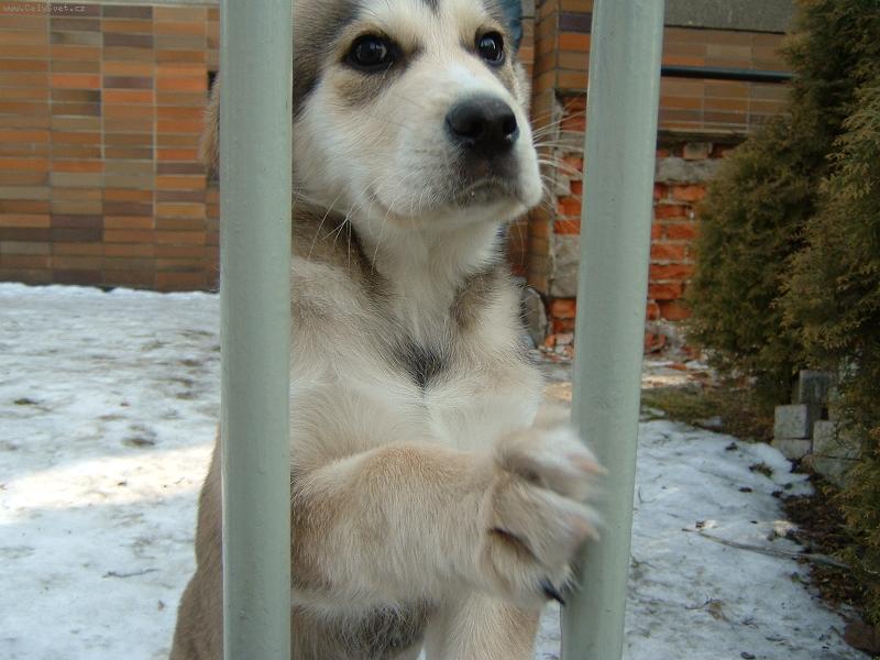 Foto: �t�n�