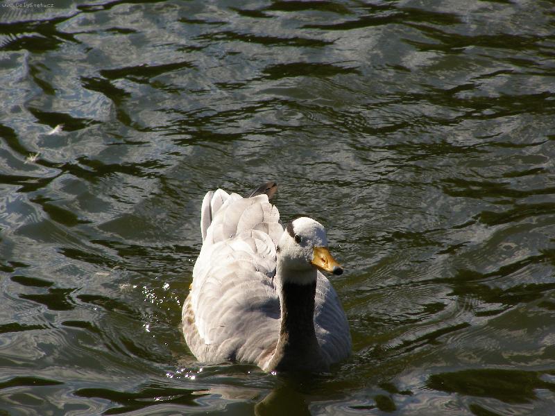 Foto: ZOO Chomutov