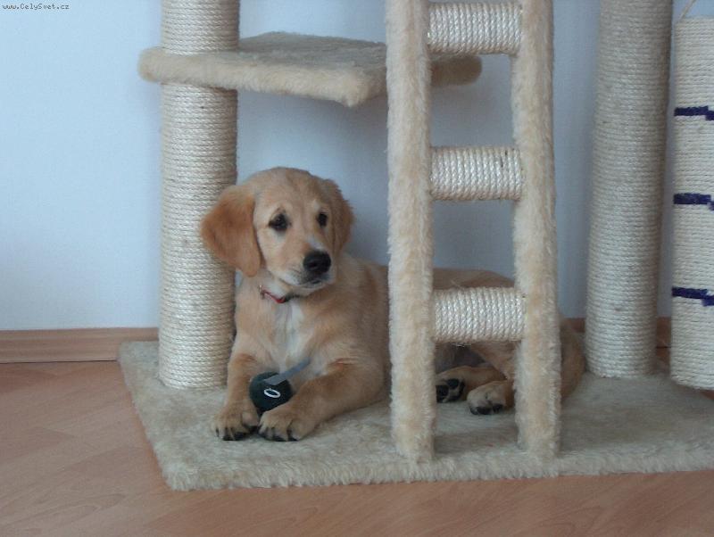 Foto: Kelly