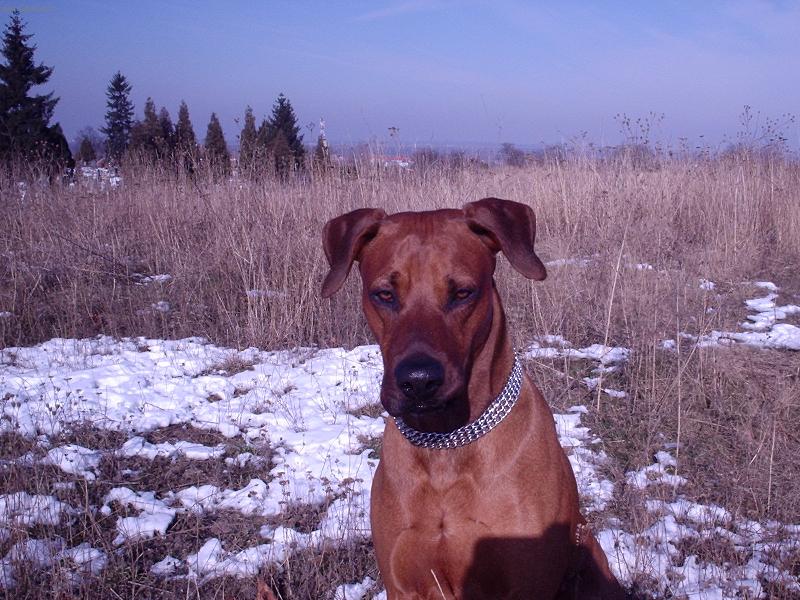 Foto: jack