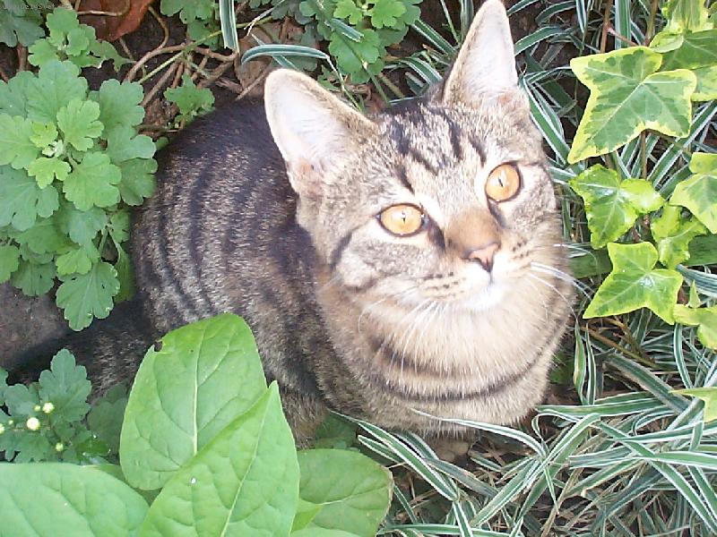 Foto: Pohled lovce