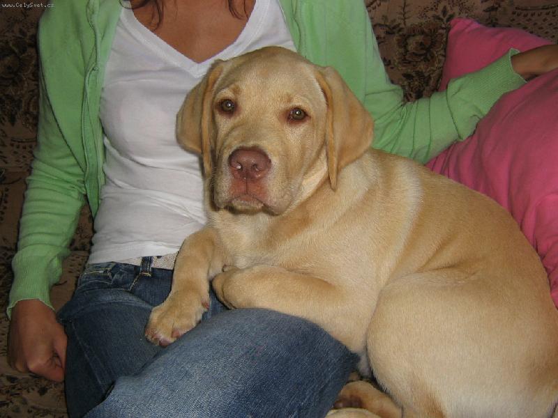 Foto: Charlie