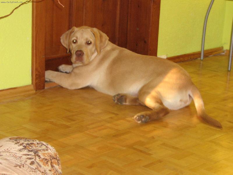 Foto: Charlie