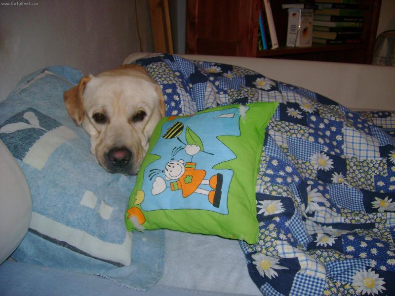 Foto: Krasny sny