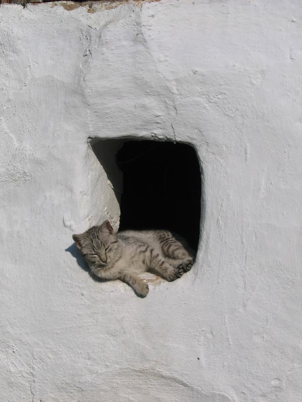 Foto: Siesta