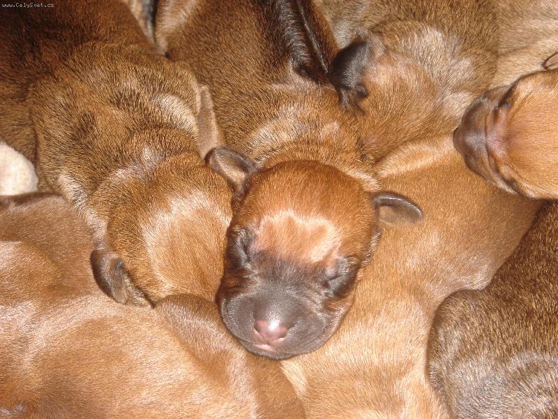 Foto: miminka