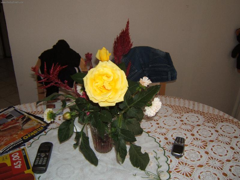 Foto: R��e