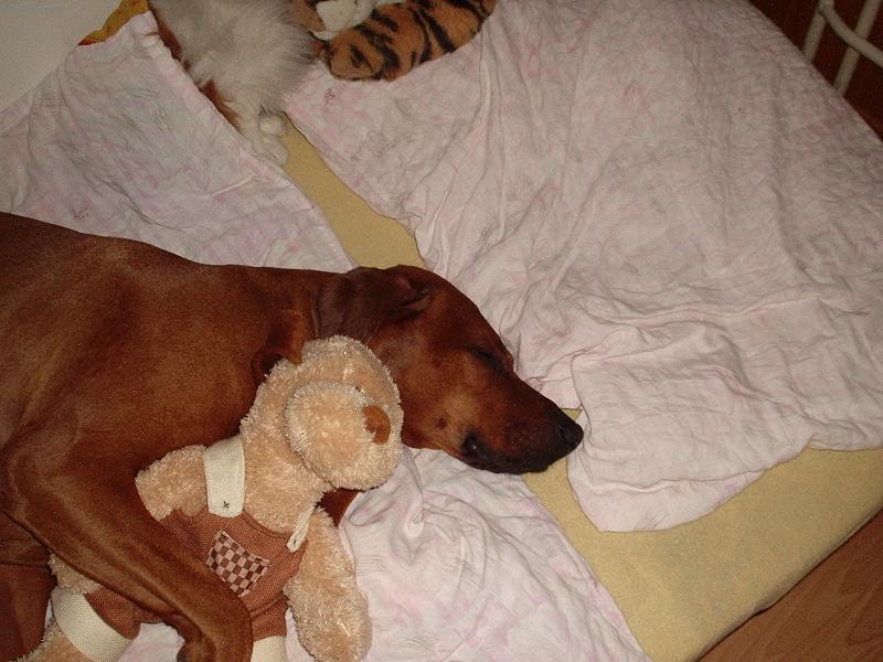 Foto: spanok-jack