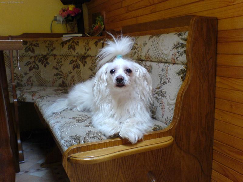 Foto: Leno�ka