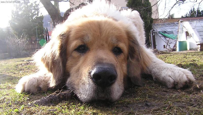 Foto: Znud�nost