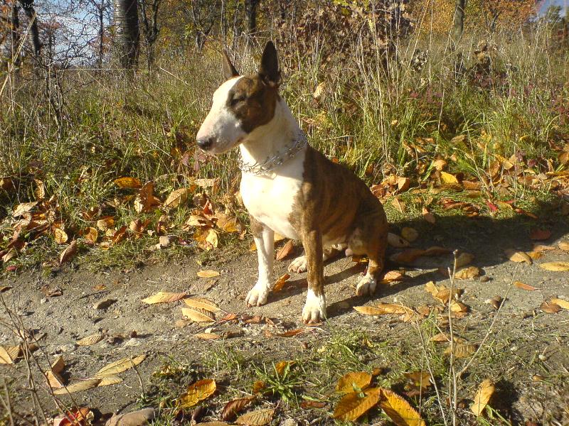 Foto: Na�e Peggy