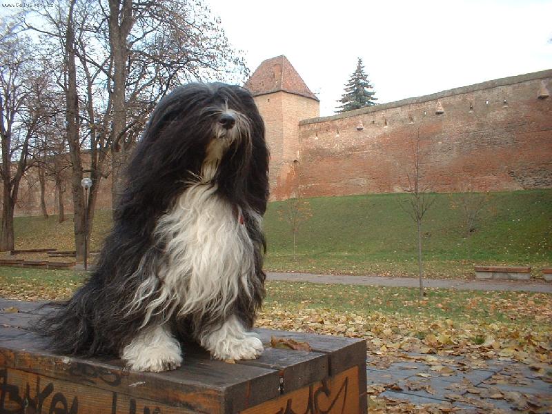 Foto: ENI a jesen
