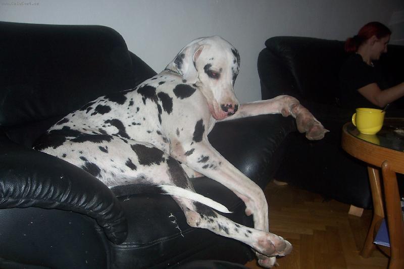 Foto: Pohoda