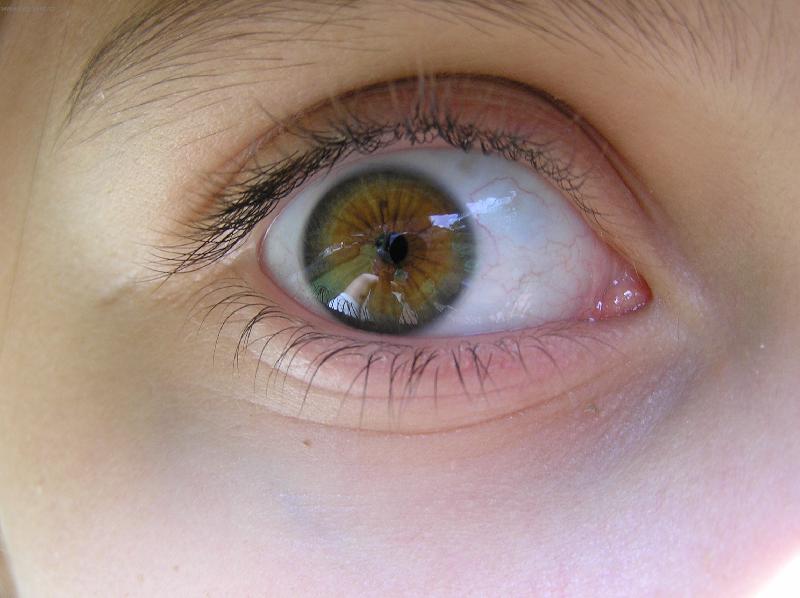 Foto: Vid�m t�?