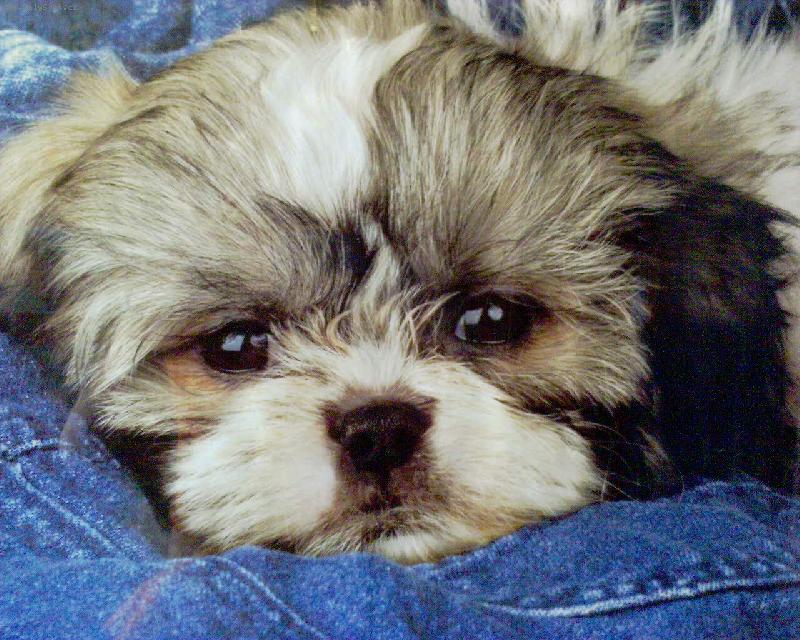 Foto: Edou�ek