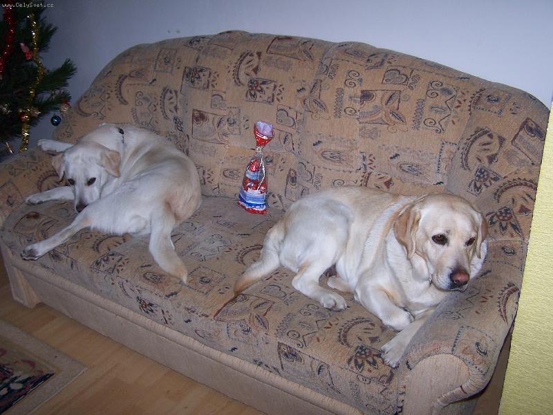Foto: Siesta