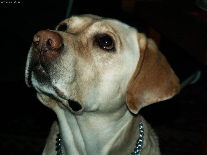 Foto: Monty