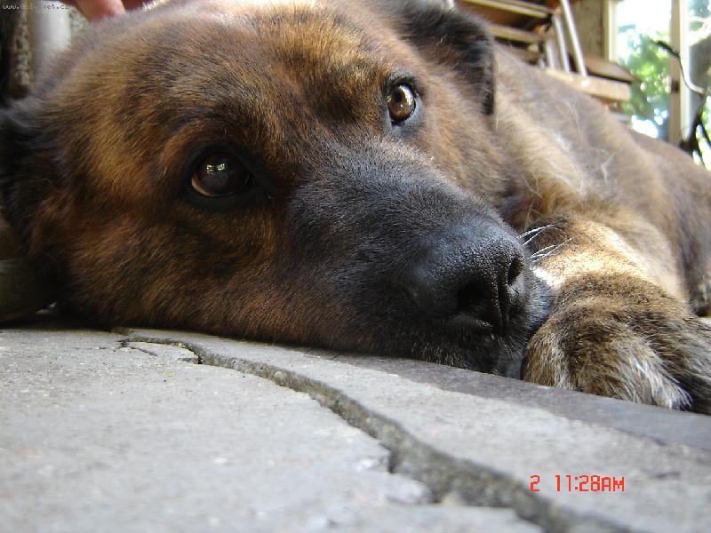 Foto: mazel