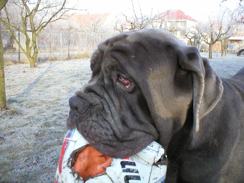 Foto: C�zar
