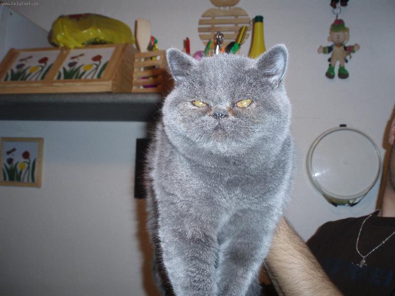 Foto: nase anicka